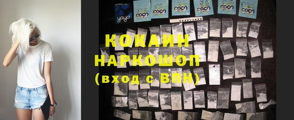 винт Бородино