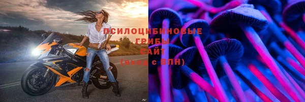 spice Семилуки