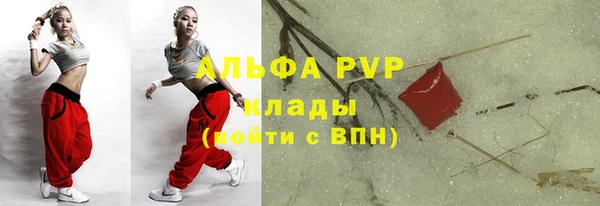 винт Бородино