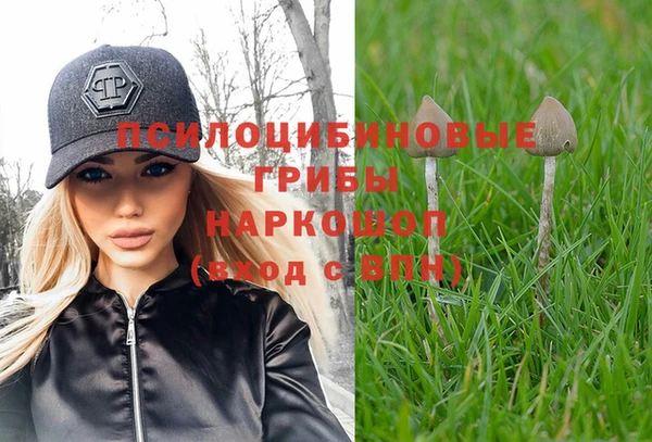 spice Семилуки