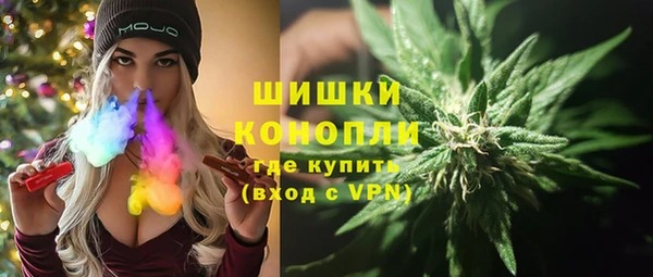 винт Бородино