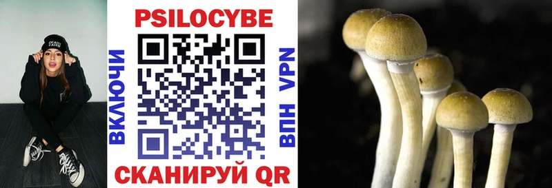 как найти закладки  KRAKEN ссылка  Псилоцибиновые грибы Psilocybine cubensis  Менделеевск 